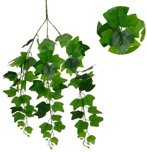 Hanger vuller Hedera groene bladeren Groene hangplanten