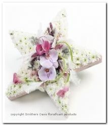 Oasis® Bioline ster oase voor verse bloemen 40 x 40 x 5,5 cm