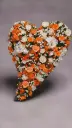 OASIS® Bioline Hart Swing (5).webp