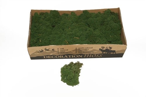 Rendiermos IJslandsmos Finlandsmos Mosgroen 500 gram