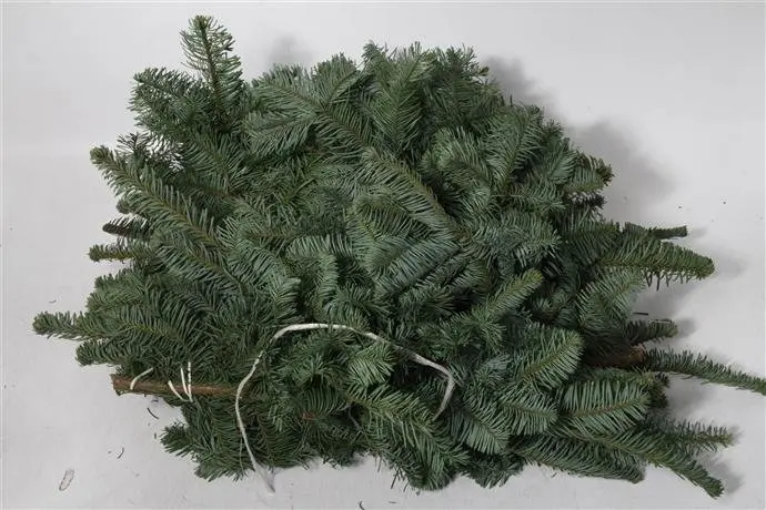 Nobilis handbos vers ca. 50 cm ca. 500 gr Lekker veel KerstGroen vers