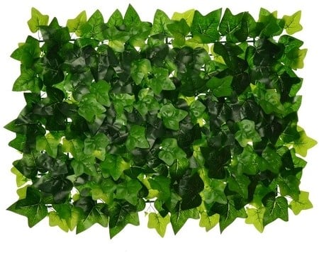 Flowerwall Groenwall 40x60 cm Hedera Ivywall Panel Kunst