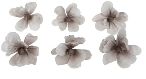Anemoon Foambloem Grey White 6 cm pak 6 stuks