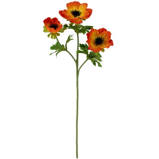 Anemoon Oranje Zijdenbloem 56 cm per stuk