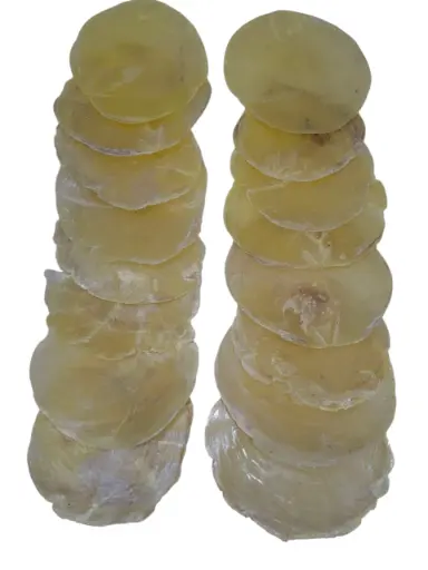 [A-009919] Capiz Camar schelpen Champagne/Geel 250 gram