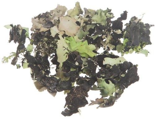 [A-013381] Korstmos Musgo Groenwashed 250 gram