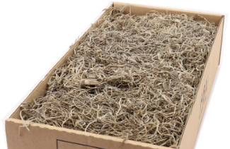 [A-025464] Tillandsia Junglemos Spaansmos Forestmos Naturel 350 gram gepreserveerd