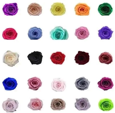 [A-017452] Geconserveerde rozen Geprepareerd Lavendel Paars doos 8 stuks