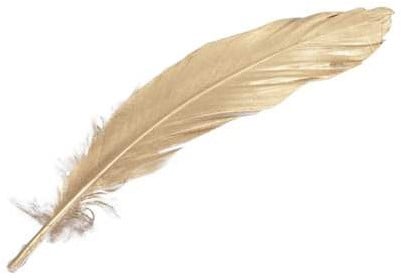 [A-023236] Ganzenveren Goud 16-18 cm pak ca. 12 stuks