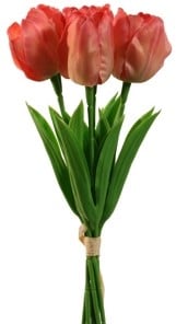[A-027431] Tulpen Coral Zijden Merk: PURE 33 cm Bundel 5 stuks