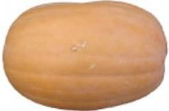 [A-001763] Vitamin Pumpkin zaden