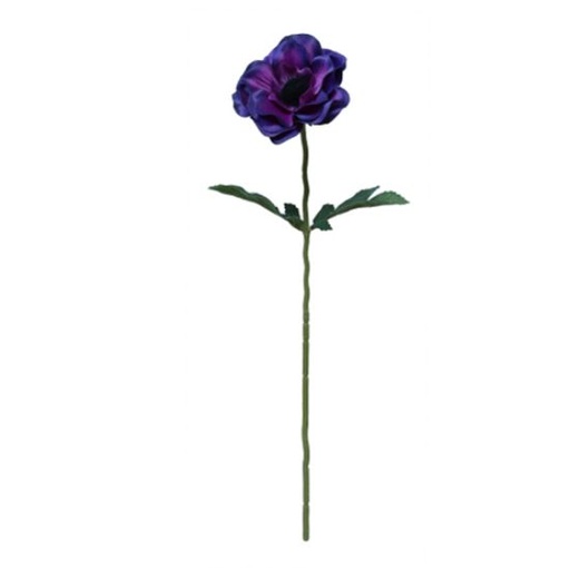 [A-028027] Anemoon Paars Zijdenbloem 50 cm per stuk